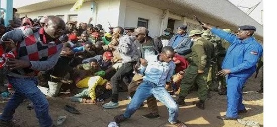 RutoRogueRegime