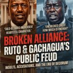 RutoandGachaguaFightImageCoverResizedImage