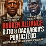 RutoandGachaguaFightImageCoverResizedImage